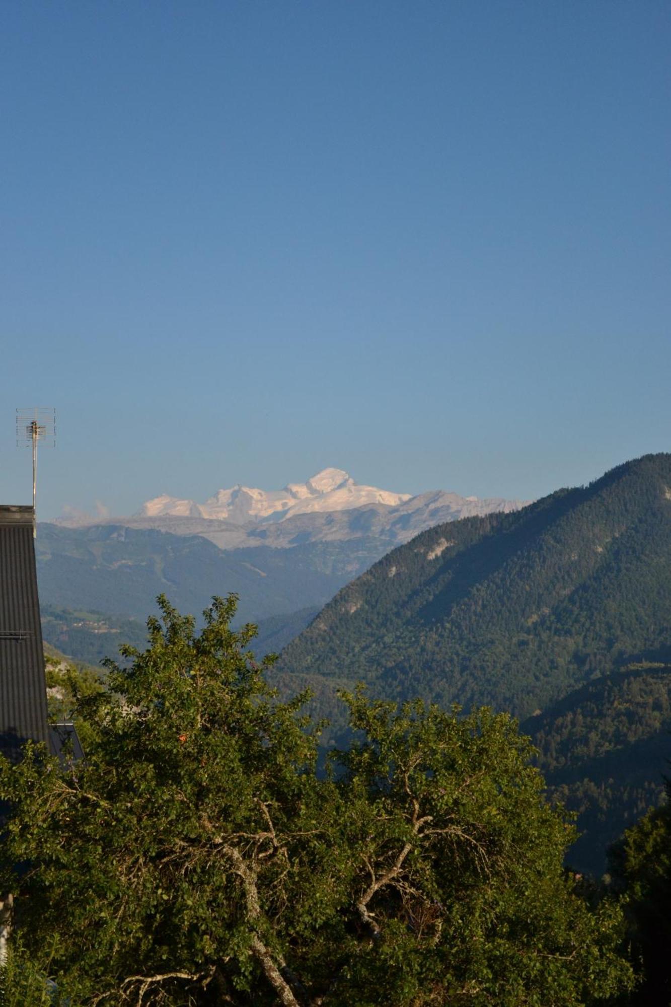 Holiday home La Belle Des Praz
